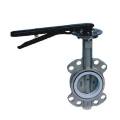 Super Quality Ptfe Double Clip Iron Cast Stainless Steel butterfly valve weight